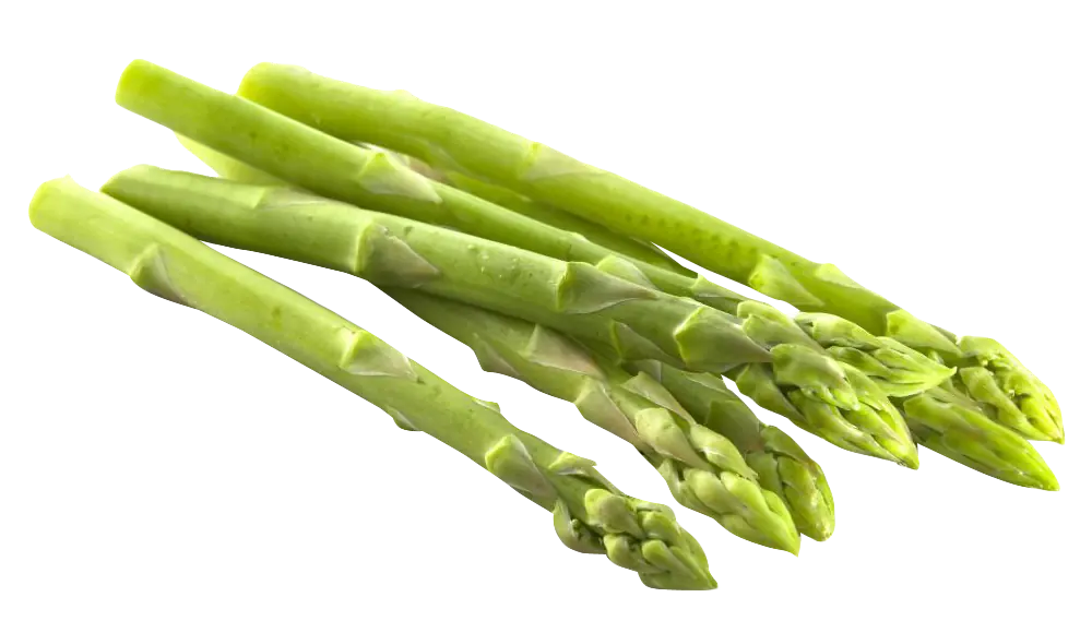 Asparagus