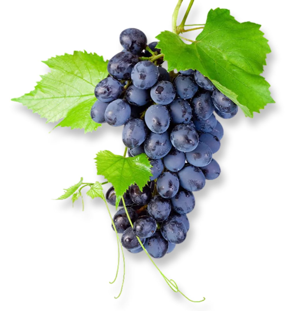 Grapes