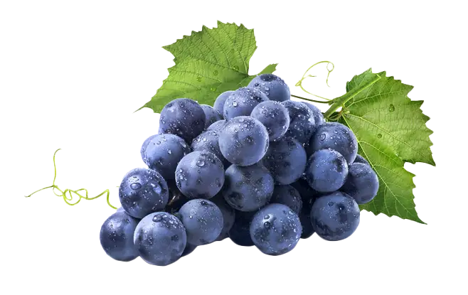 Grapes
