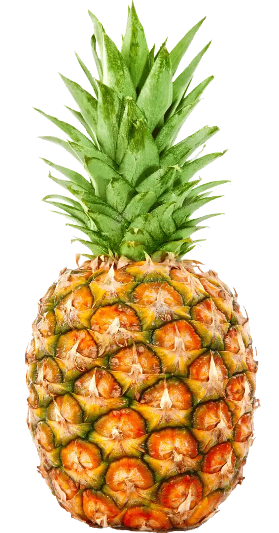 Pineapple