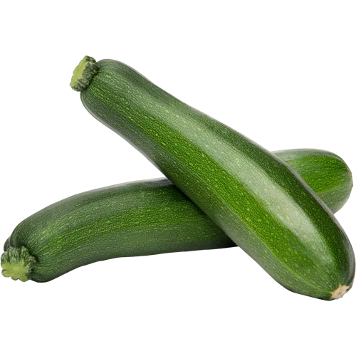 Zucchini